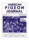 Magazine Cover